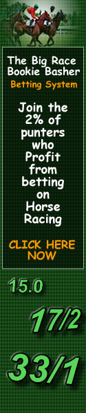 The Big Race Bookie Basher Banner